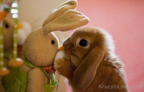 Cute Baby Bunny Happy Easter