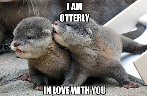 I Am Otterly