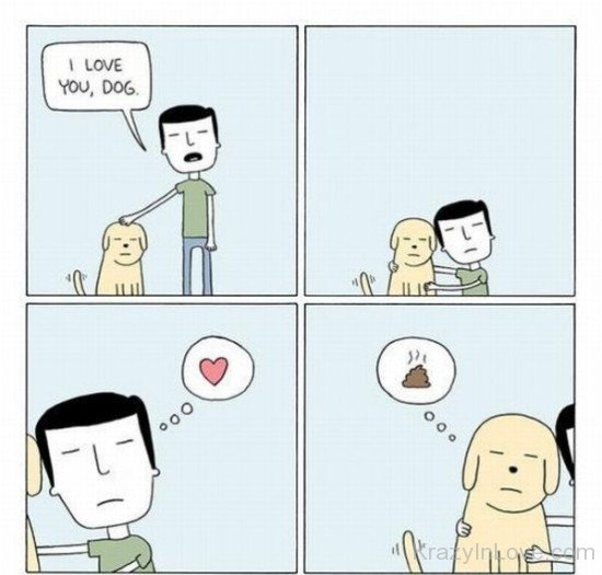 I Love You Dog