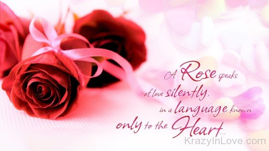 A Rose Speaks Of Love Silently