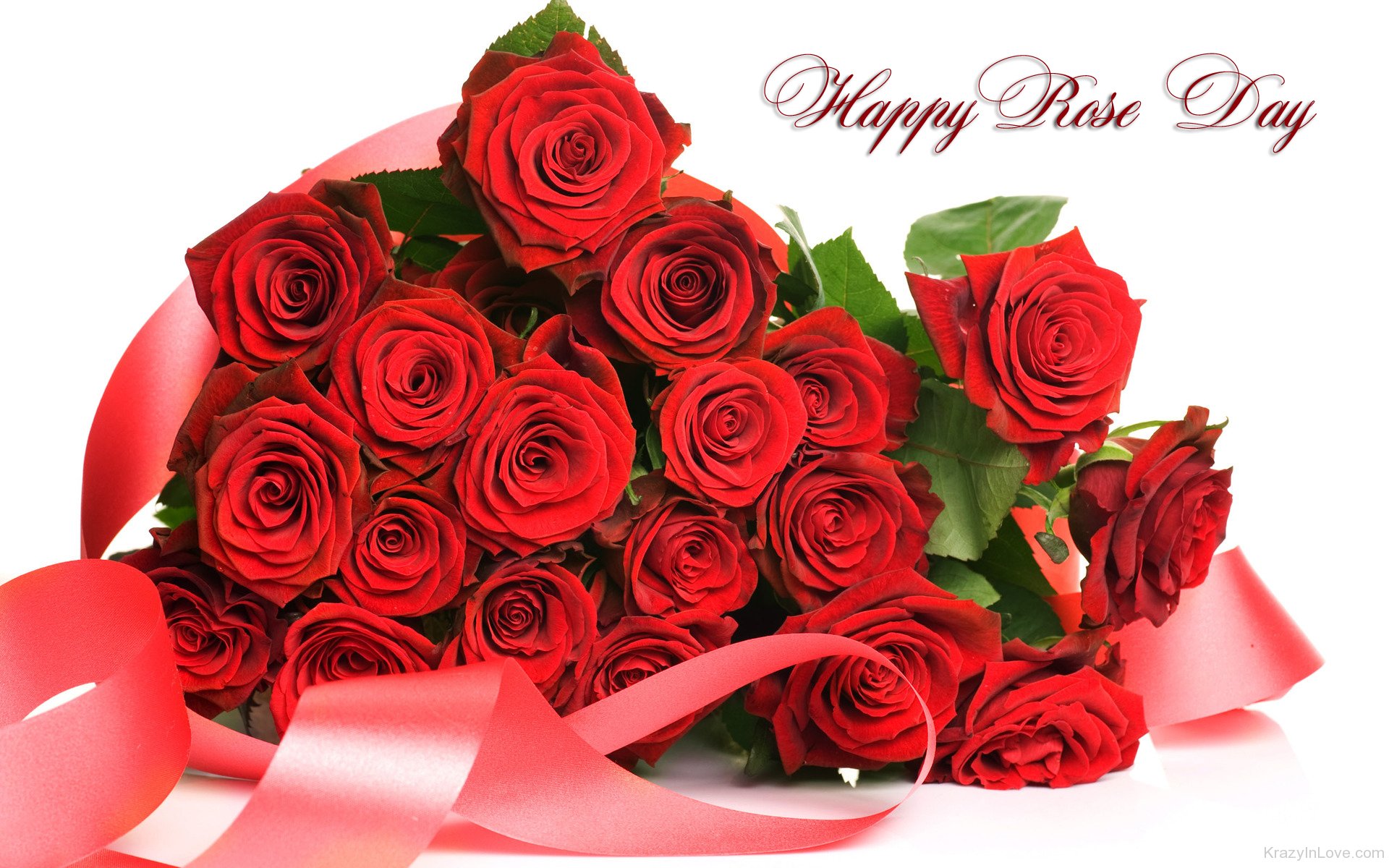 Best 100+ Happy Rose Day Images Quotes Shayari Wishes Status for your Love