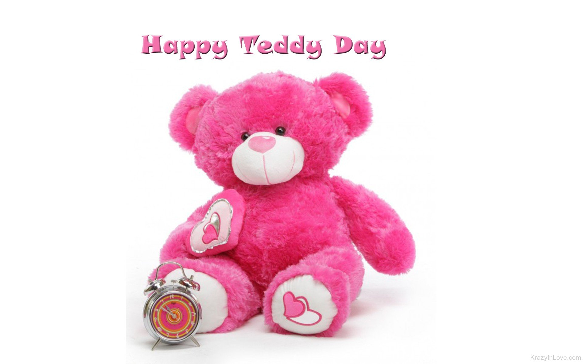 happy teddy day gift