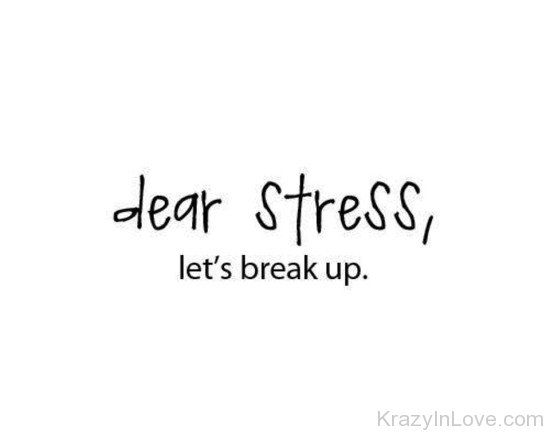 Dear Stress,Let's Break Up-hnm304