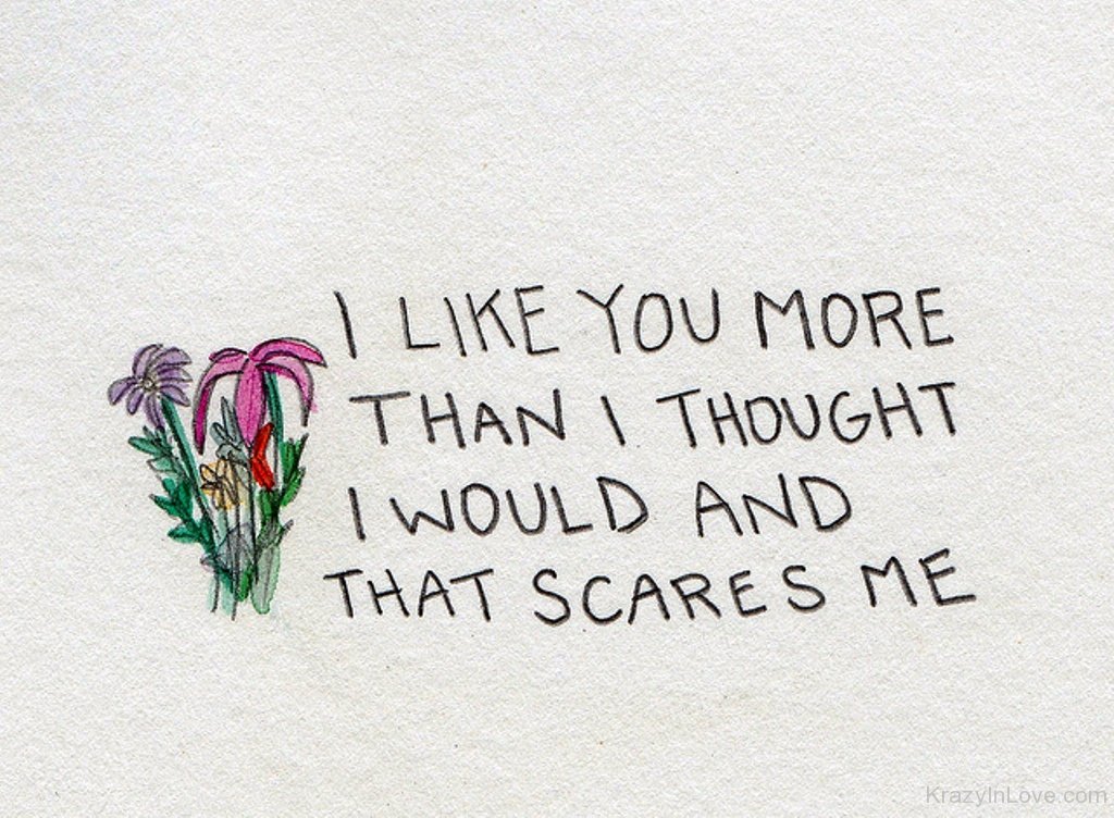 Think i like you best. I like you. I like you more. I like you quote. I like you more than Cats.