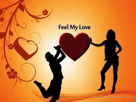 Feel My Love-tr5401