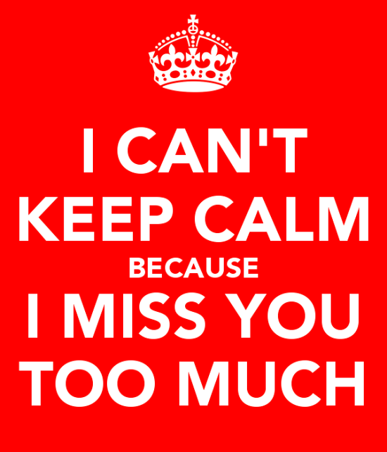 I Can't Keep Calm Because I Miss You-yt604