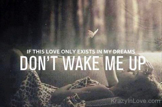 If This Love Only Exists In My Dreams-mr313