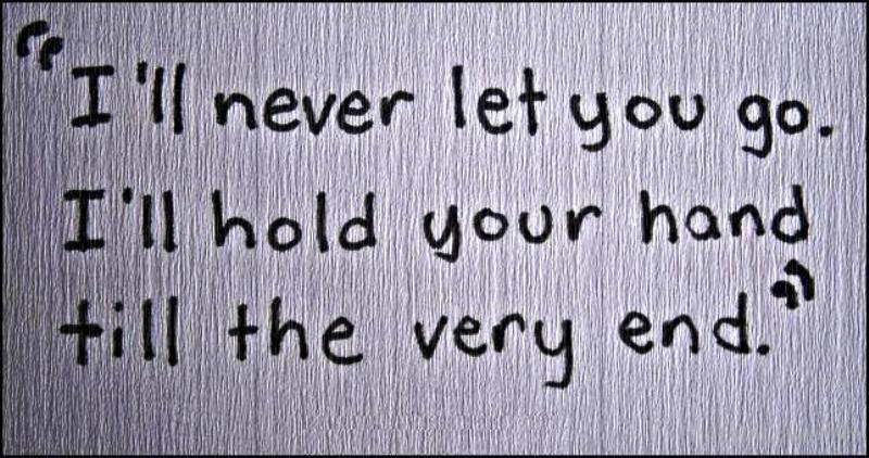 I ll hold. I'll never Let go of your hand.. I'll never Let you go. I will never Let you go.