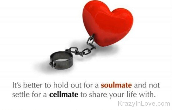 It's Better To Hold Out For A Soulmate-tr512