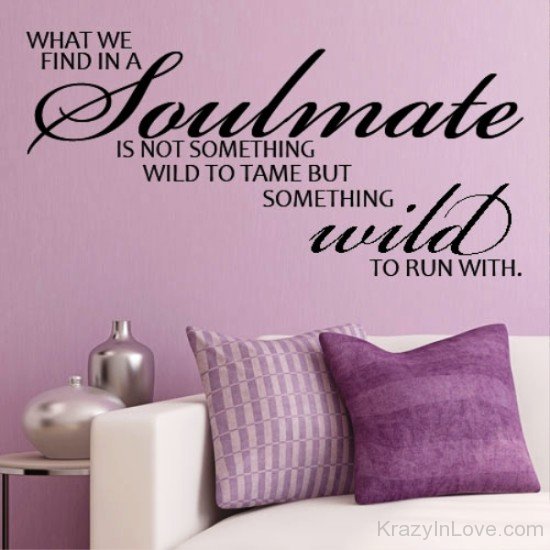 What We Find In A Soulmate-tr521