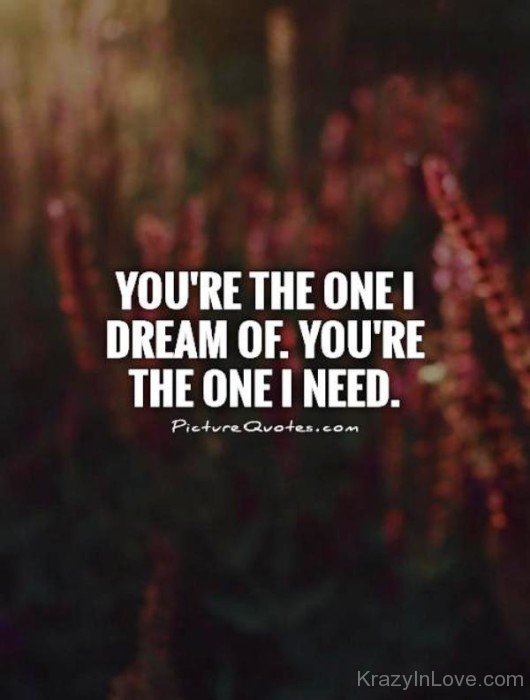 You're The One I Dream Of-nb531
