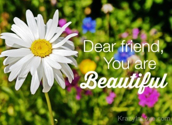 Dear Friend,You Are Beautiful-vb606