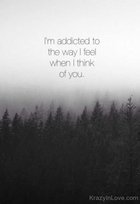 I'm Addicted To The Way I Feel-te406