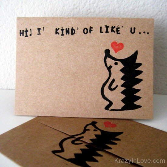 Hi I Kind Of Like You-rwx203