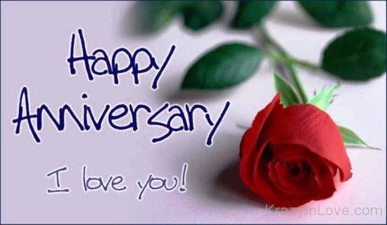 Happy Anniversary I Love You-rvt513