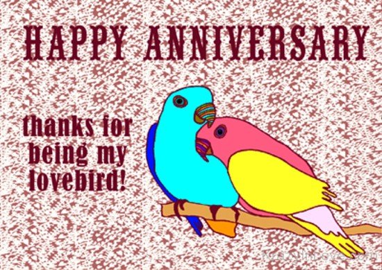 Happy Anniversary Thanks For Being My Lovebird-rvt517