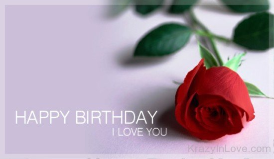 Happy Birthday I Love You With Rose-avb613