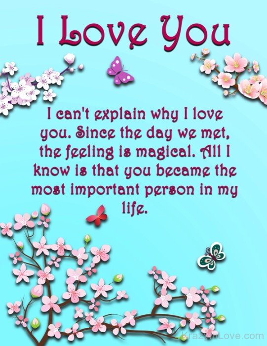 I Can't Explain Why I Love You-tyn921