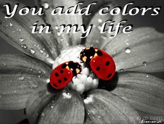 You Add Colors In My Life-pyb610