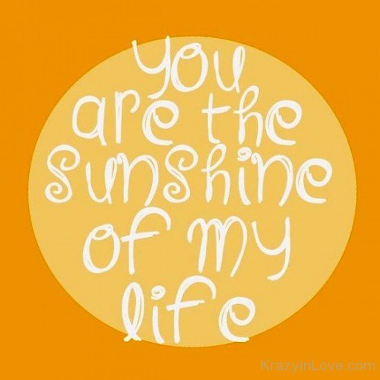 You Are The Sunshine Of My Life-pyb627