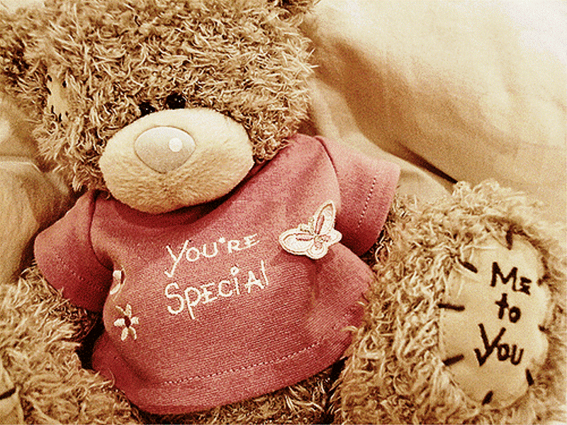 special friend teddy bear