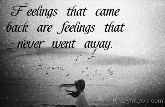 Feelings That Came Back Are Feelings-ddg5410