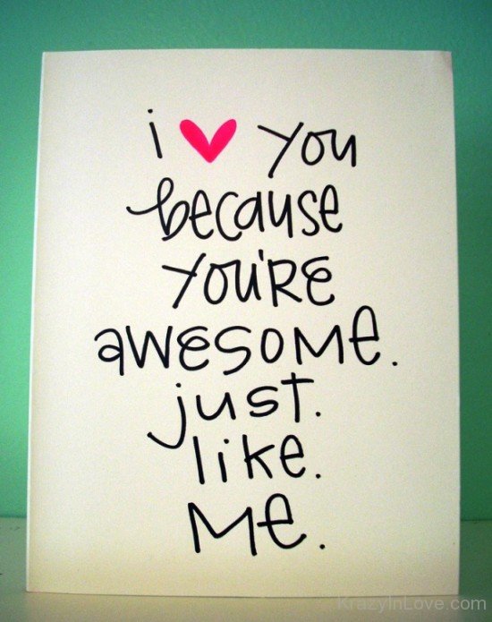 I Love You Because You're Awesome-yhf4715