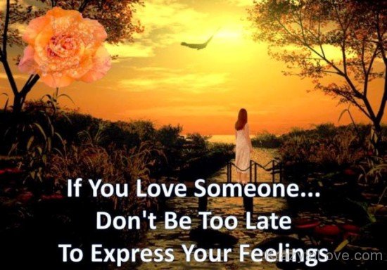 If You Love Someone-ddg5426