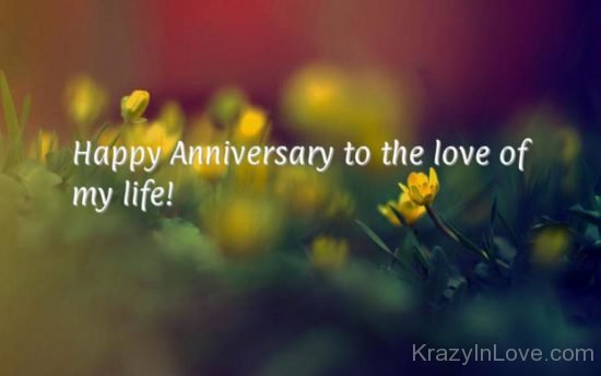 Happy Anniversary To The Love Of My Life kl1078